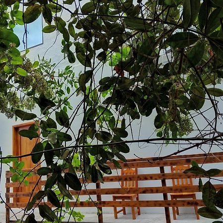 Casa Almendro Apartment ปวยร์โต วิลยามิล ภายนอก รูปภาพ