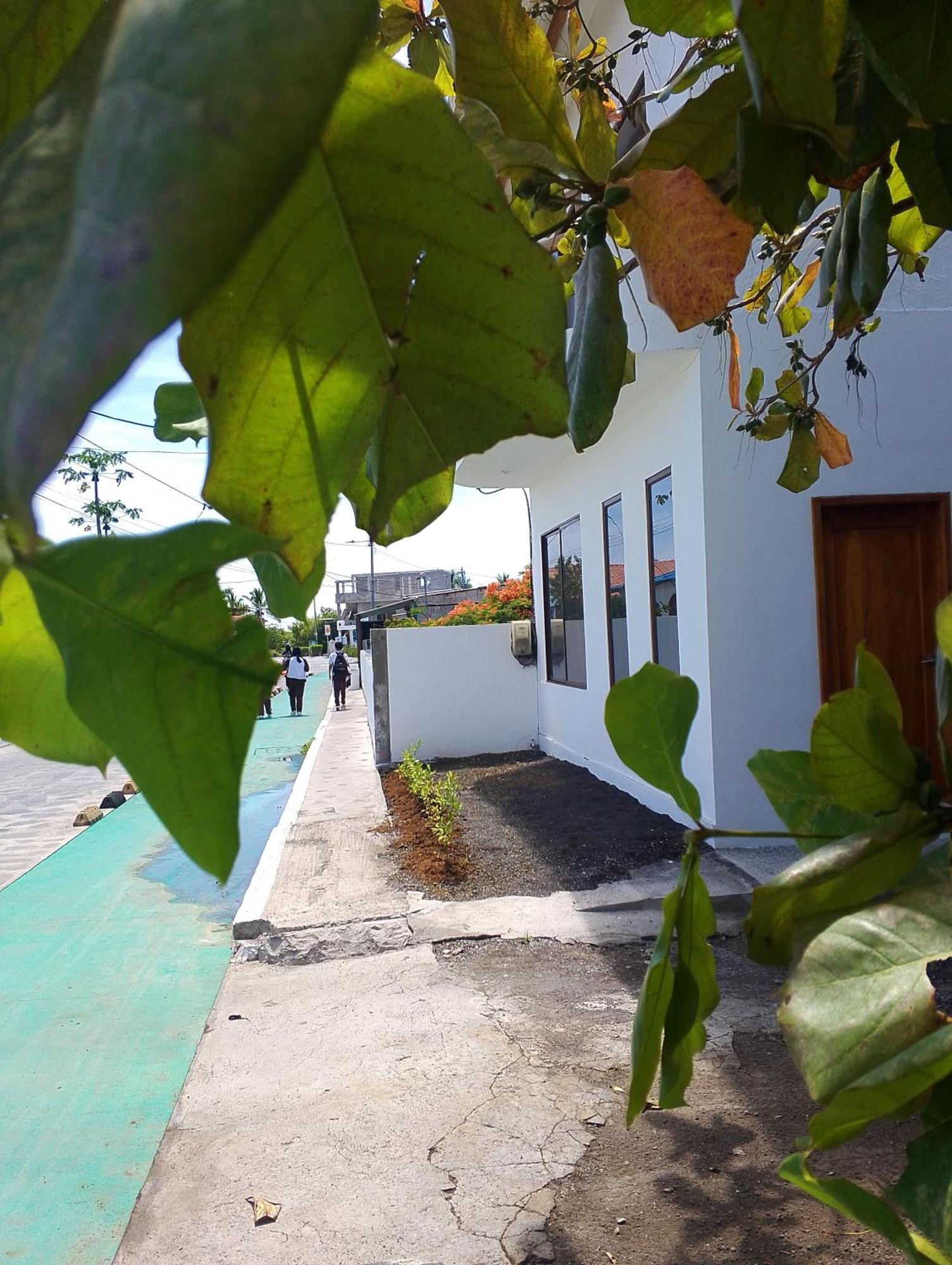 Casa Almendro Apartment ปวยร์โต วิลยามิล ภายนอก รูปภาพ