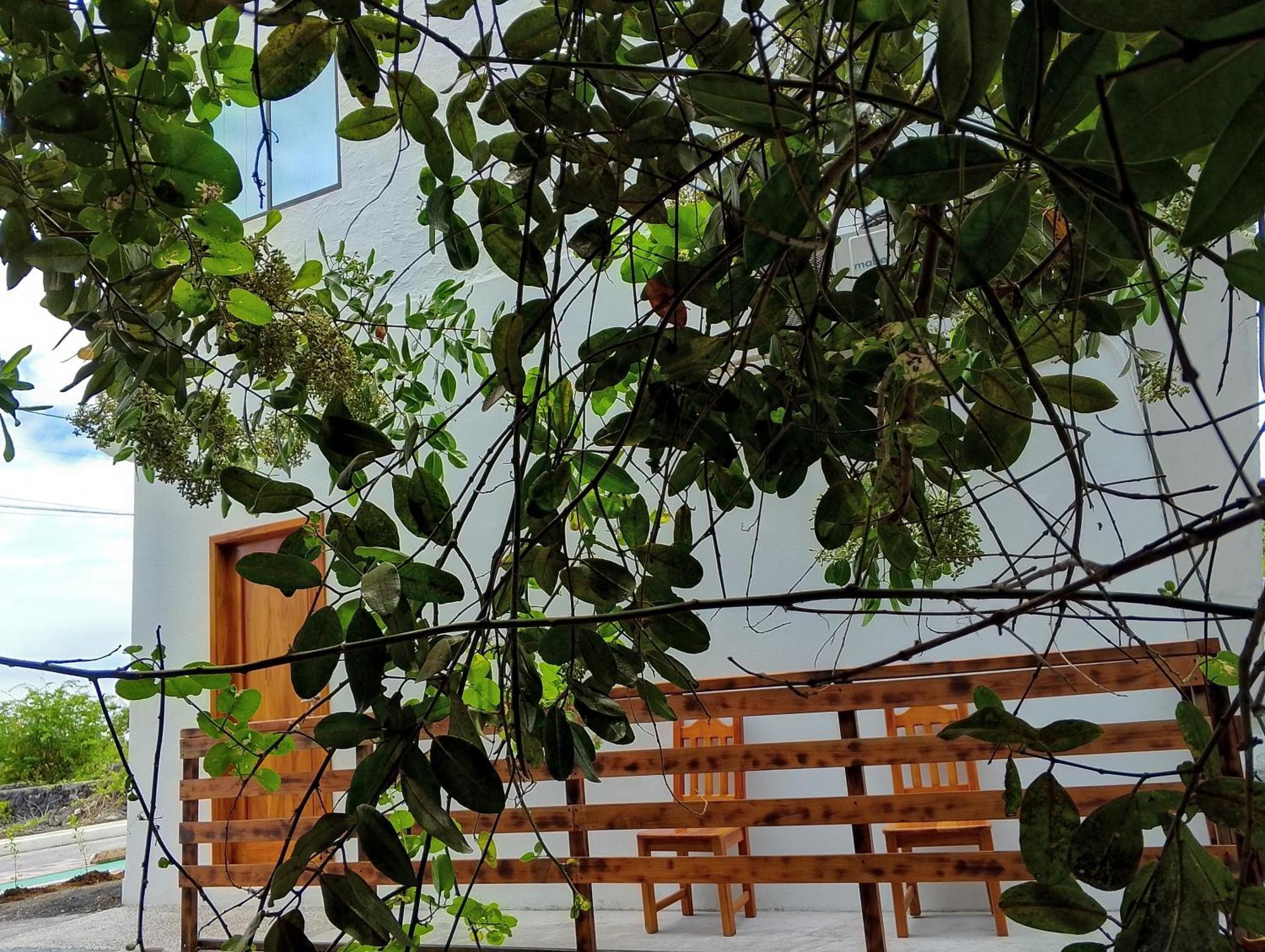Casa Almendro Apartment ปวยร์โต วิลยามิล ภายนอก รูปภาพ
